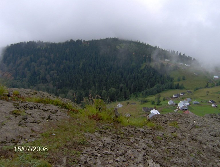 HPIM0689.jpg
