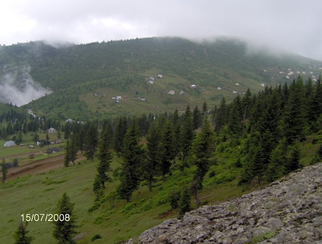 HPIM0690.jpg