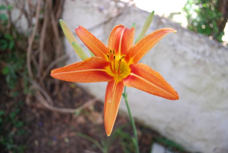 iÃƒÂƒÃ‚Â…ÃƒÂ‚Ã‚ÂŸte ben_800x536.jpg