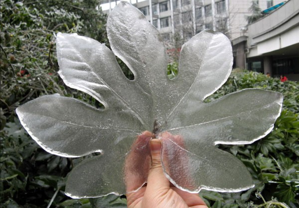 ice03.jpg