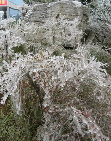 ice15.jpg