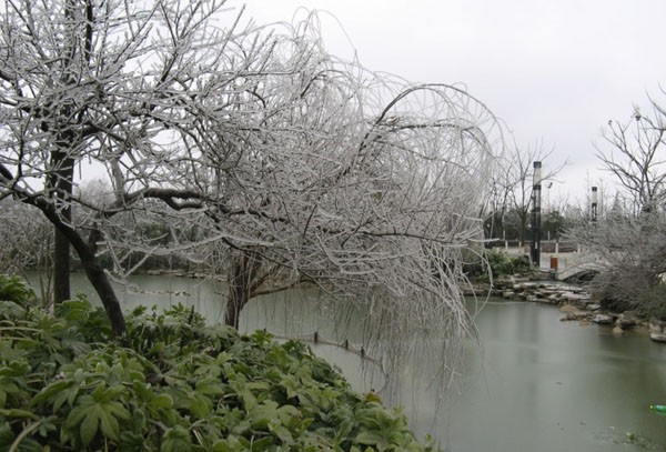 ice16.jpg