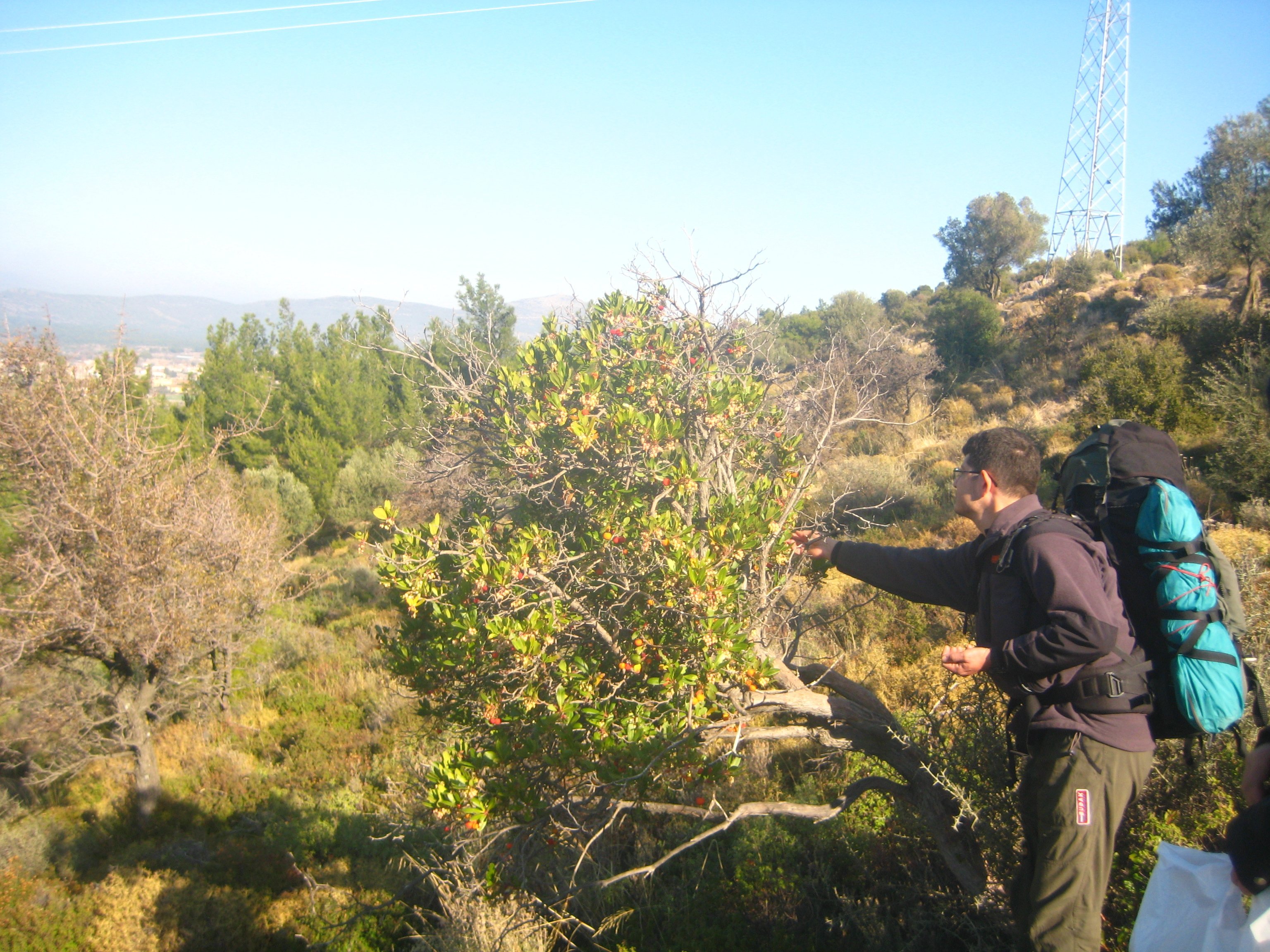 IldÃƒÂƒÃ‚Â„ÃƒÂ‚Ã‚Â±r 12 2011 GB 008.jpg