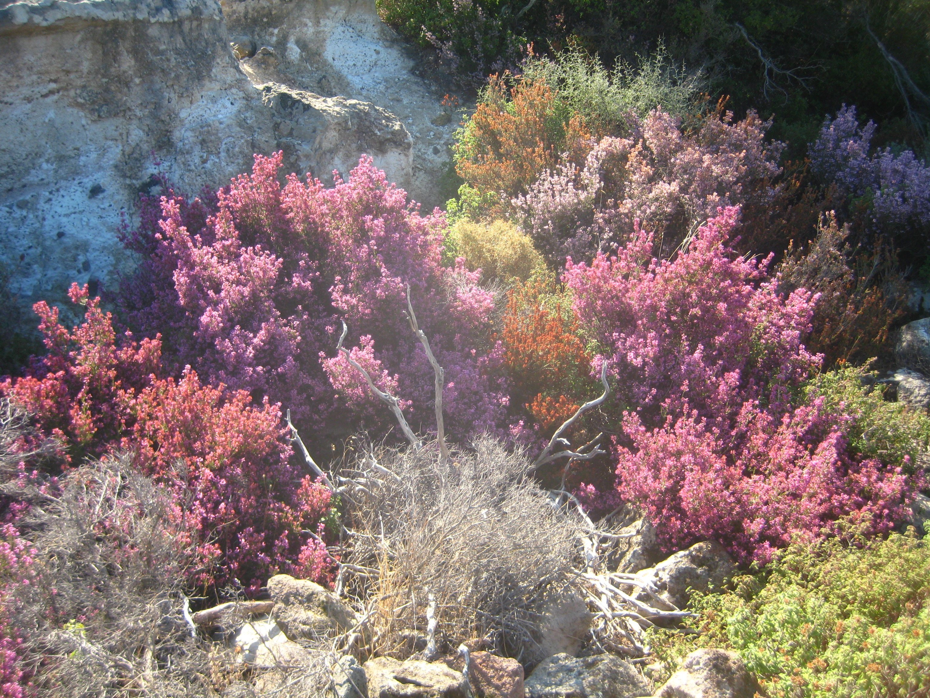 IldÃƒÂƒÃ‚Â„ÃƒÂ‚Ã‚Â±r 12 2011 GB 009.jpg