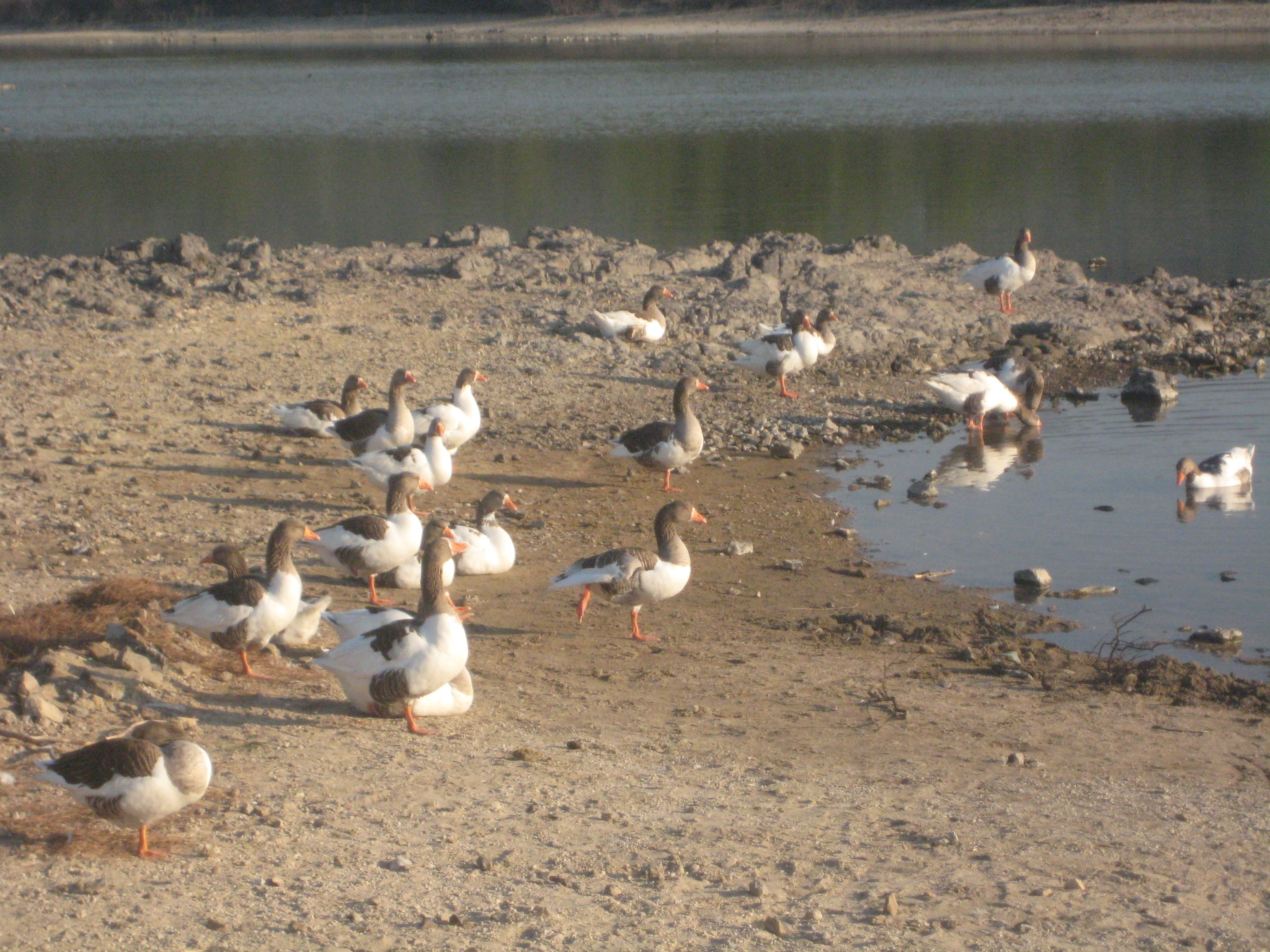 IldÃƒÂƒÃ‚Â„ÃƒÂ‚Ã‚Â±r 12 2011 GB 035.jpg