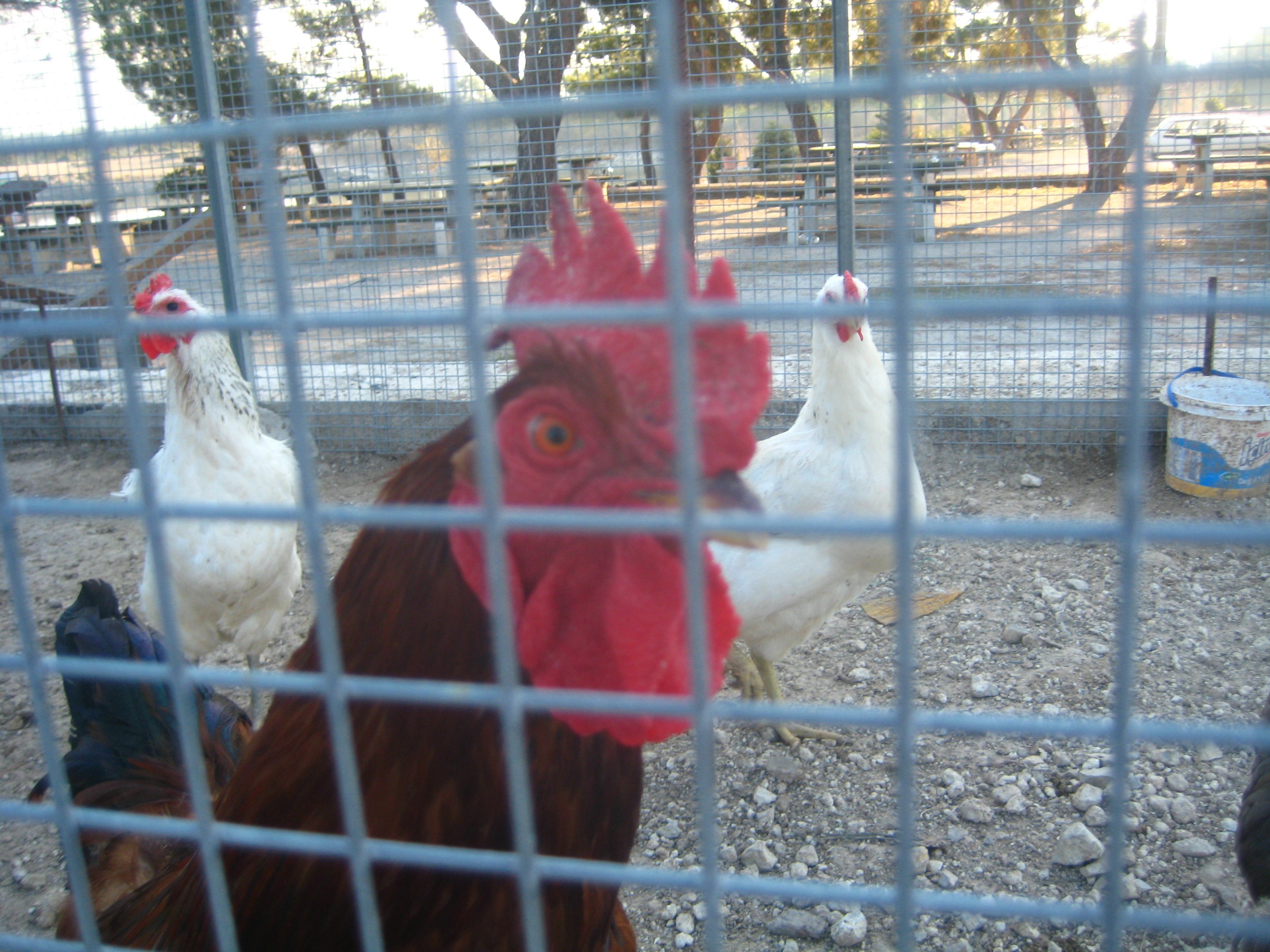 IldÃƒÂƒÃ‚Â„ÃƒÂ‚Ã‚Â±r 12 2011 GB 044.jpg