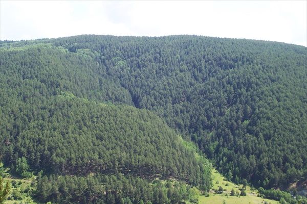Ilgaz Da?lar?.jpg