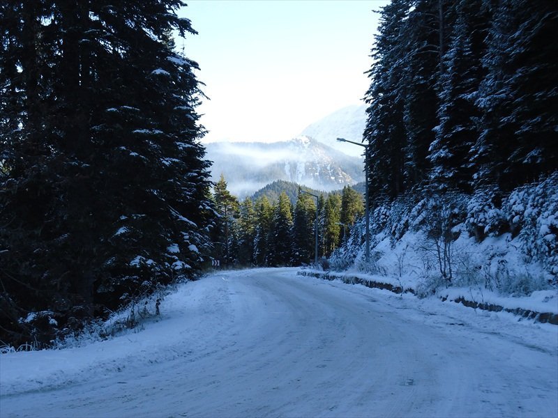 Ilgaz.jpg