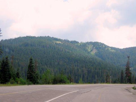 Ilgaz.jpg