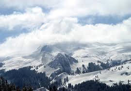 ILGAZ.jpg