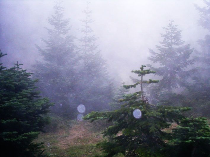 IMAG0033.jpg