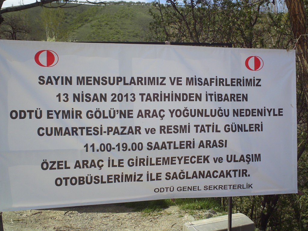IMAG0053.JPG