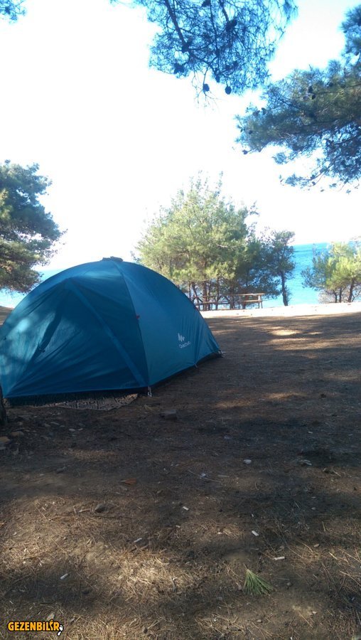 IMAG0053.jpg