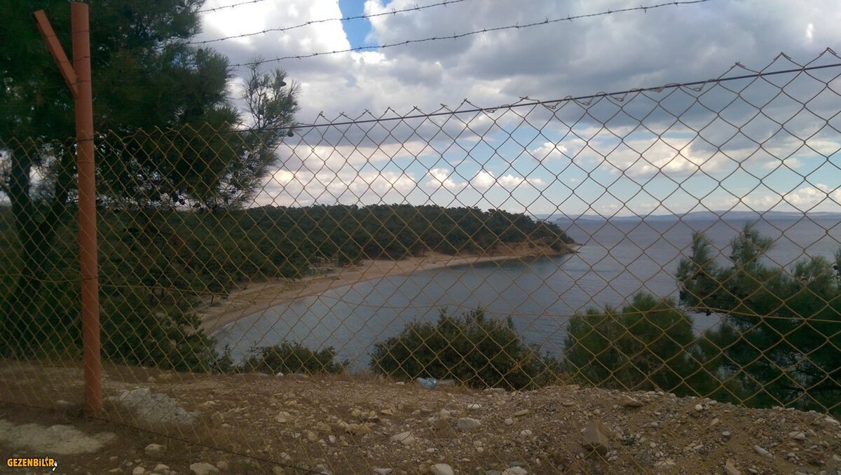 IMAG0058.jpg
