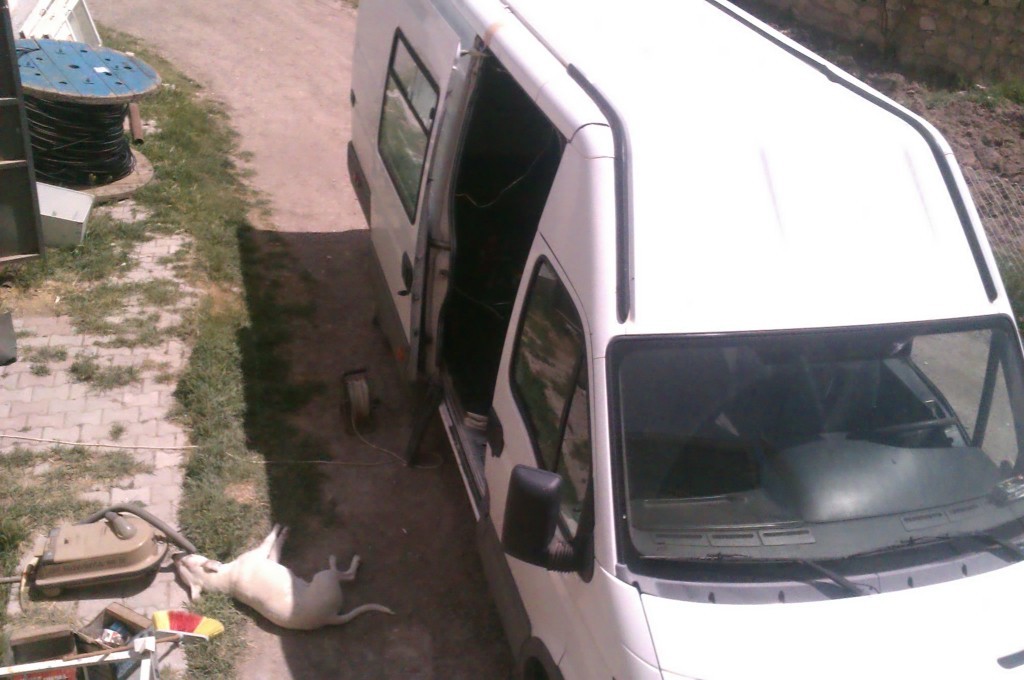 IMAG0078.jpg