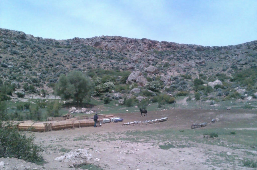 IMAG0085.jpg