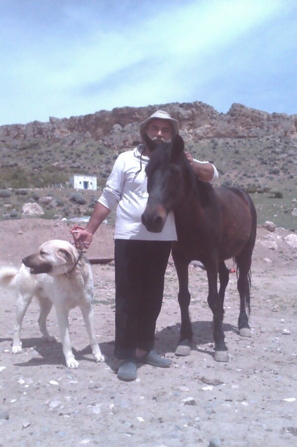 IMAG0088.jpg