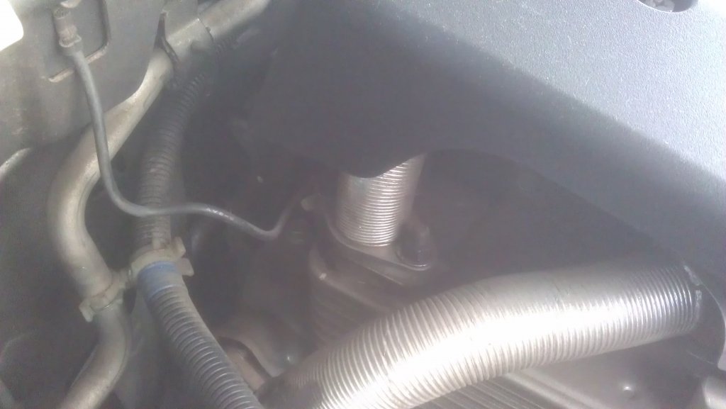 IMAG0094.jpg