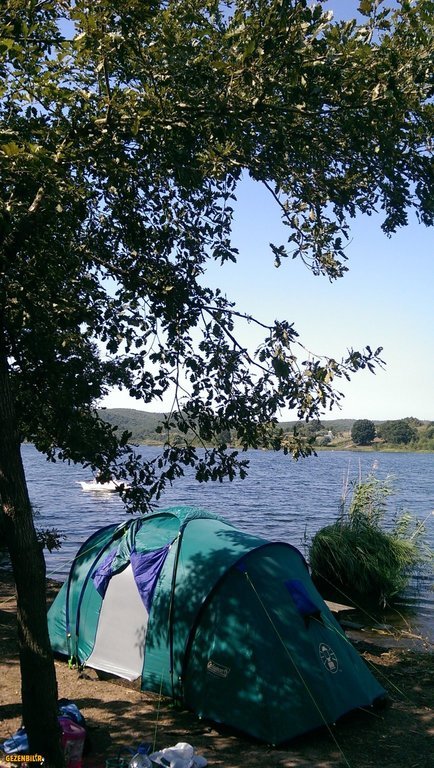 IMAG0125.jpg