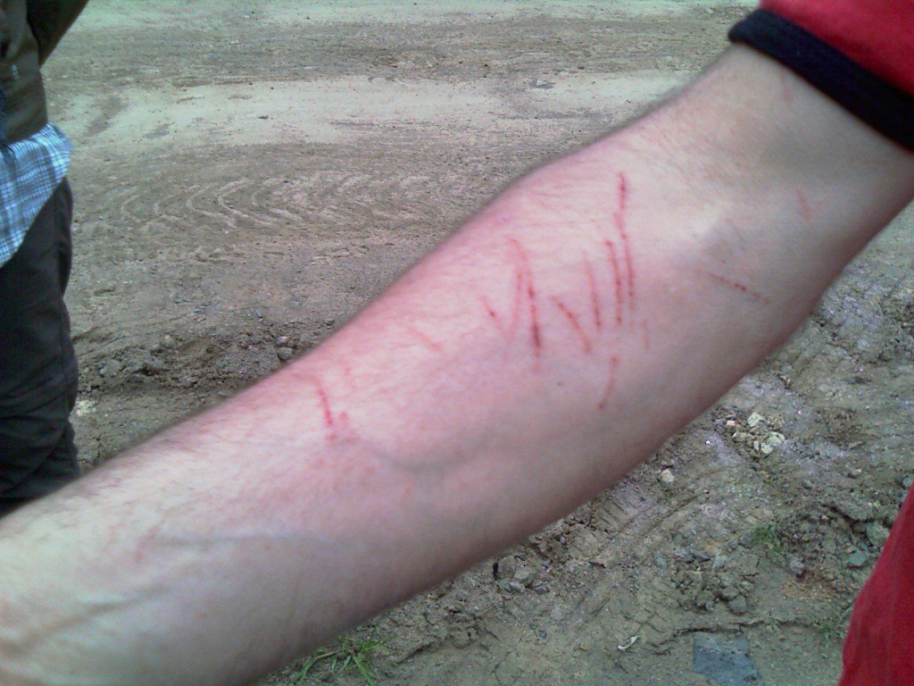 IMAG0126.jpg
