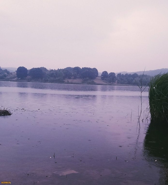 IMAG0162_1.jpg