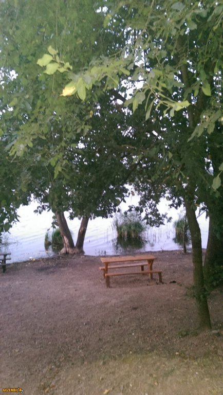 IMAG0211.jpg