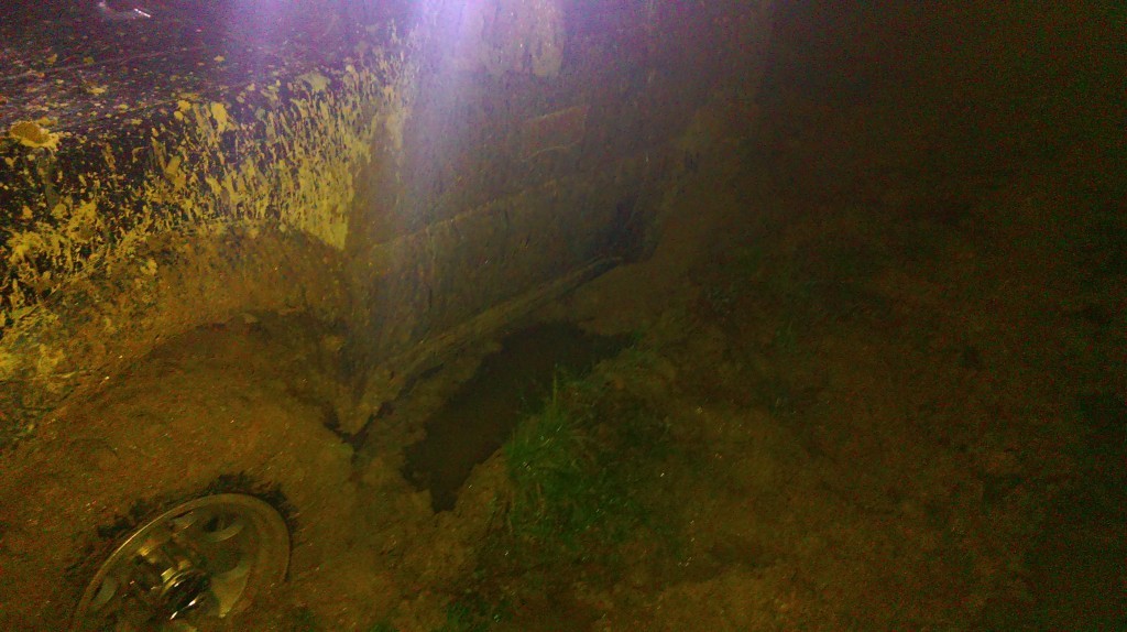 IMAG0339.jpg
