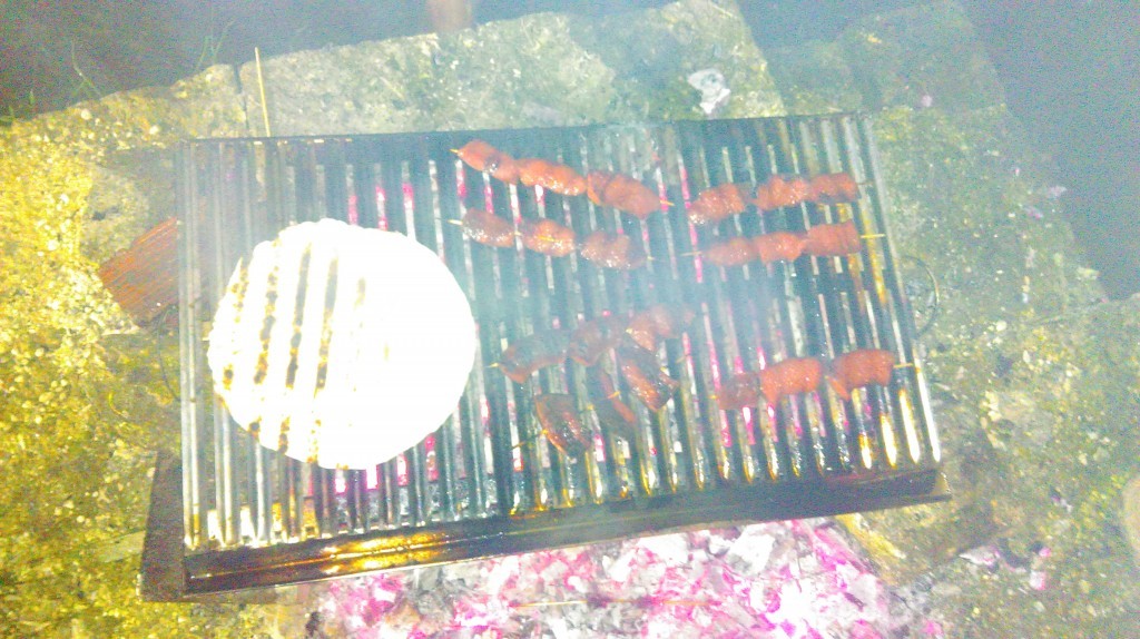 IMAG0345.jpg