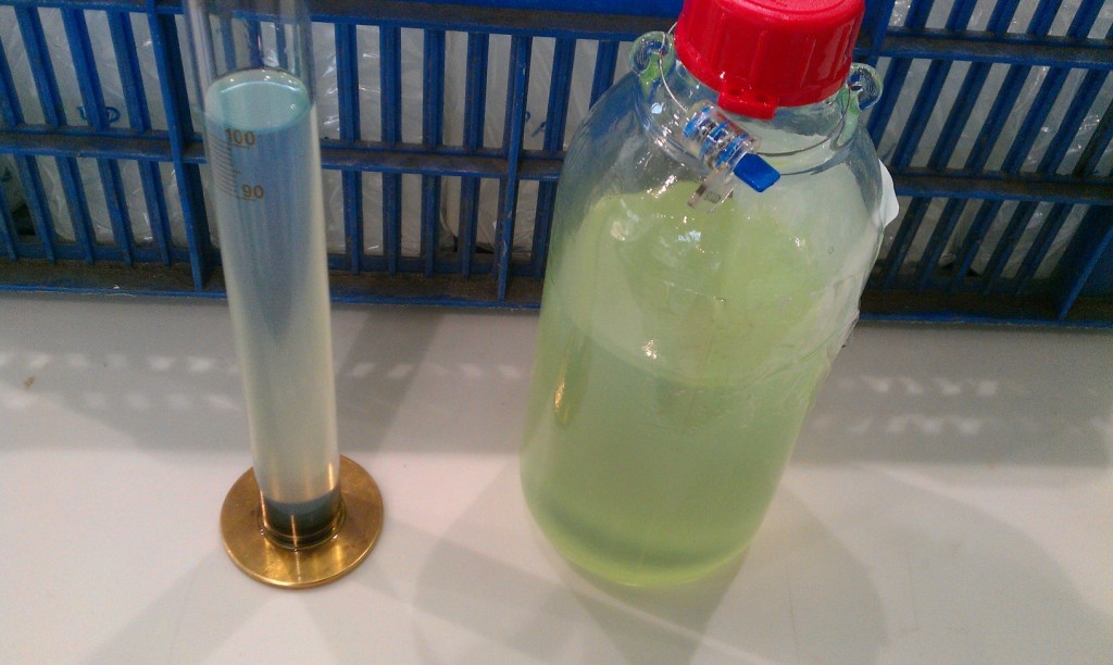 IMAG0503.jpg
