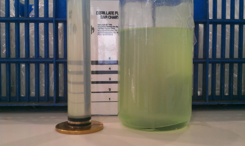 IMAG0504.jpg