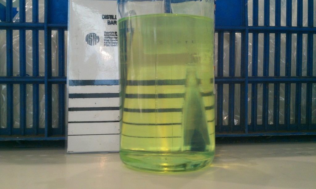 IMAG0505.jpg