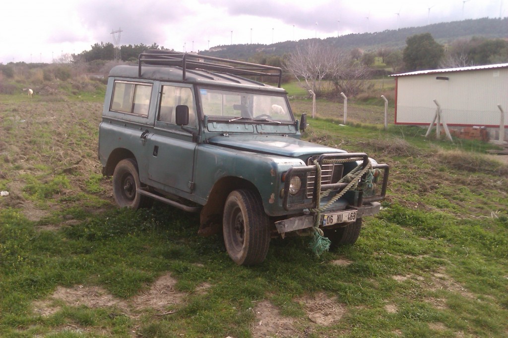 IMAG0675.jpg