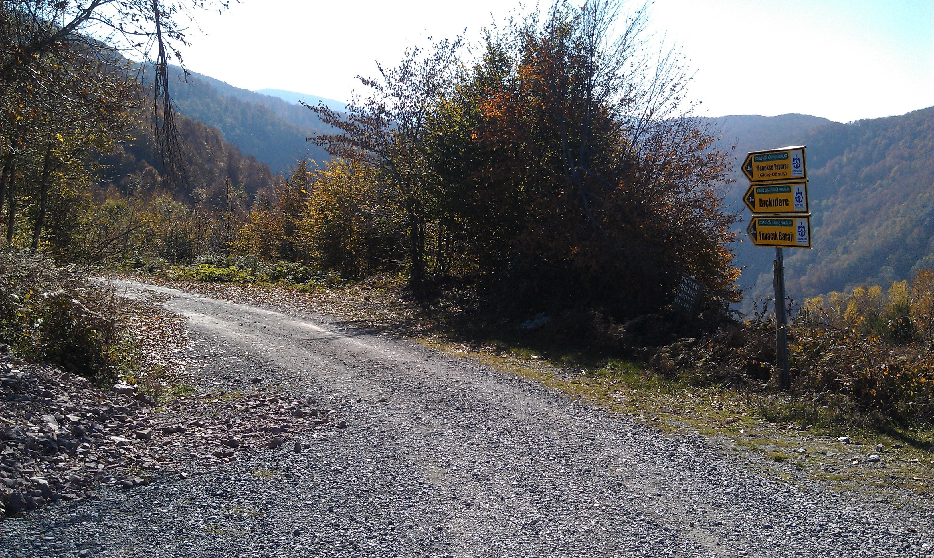 IMAG0723.jpg