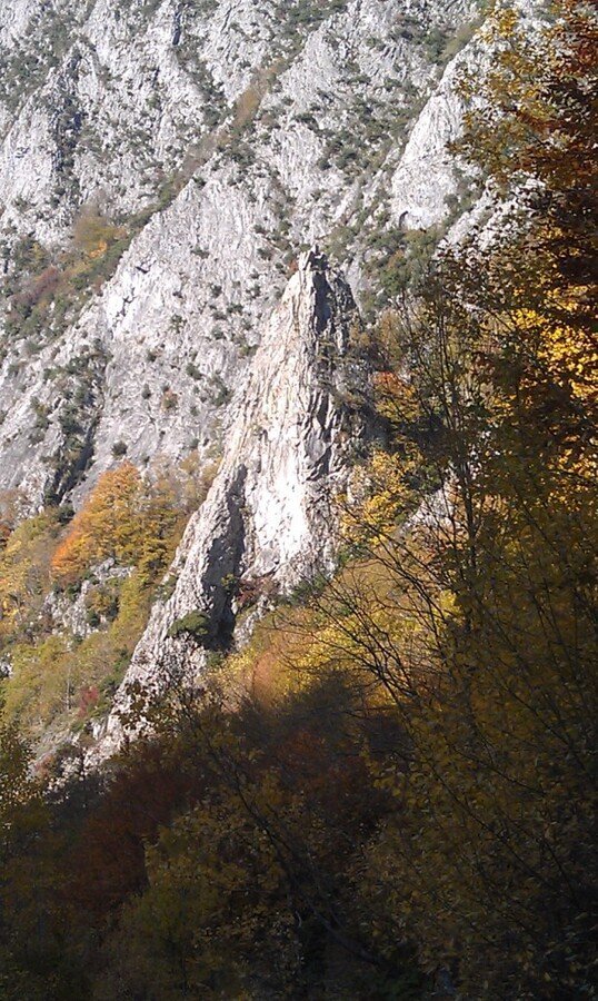 IMAG0746c.jpg
