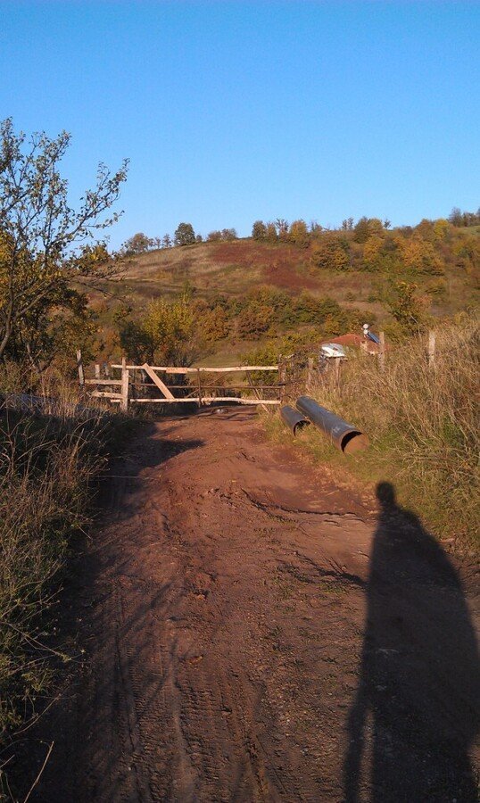 IMAG0761c.jpg