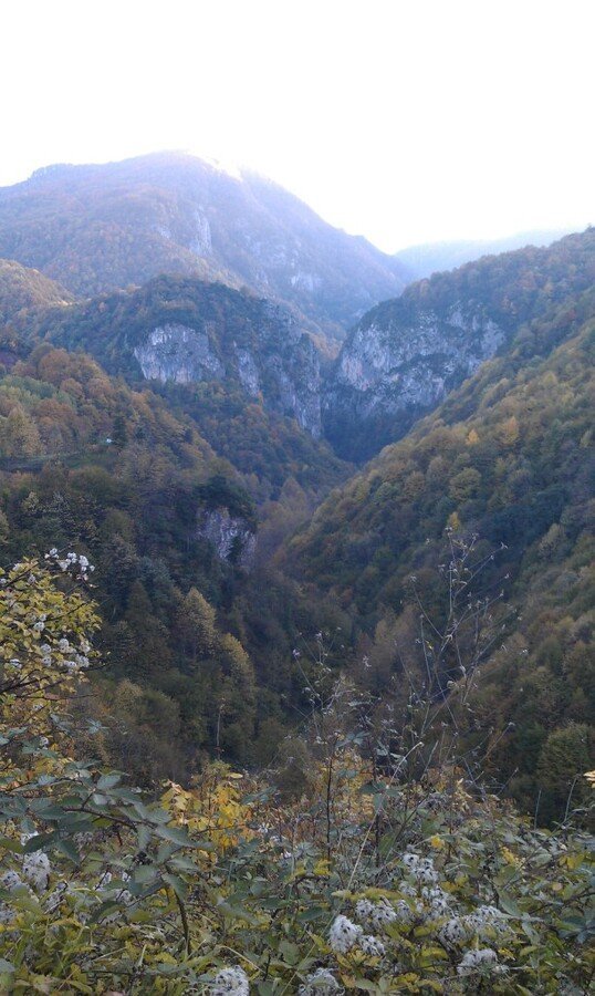 IMAG0763c.jpg