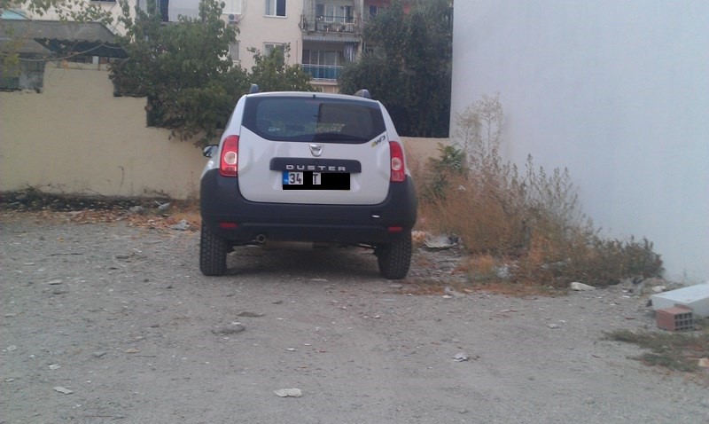 IMAG1279.jpg