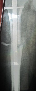 image (1).jpeg