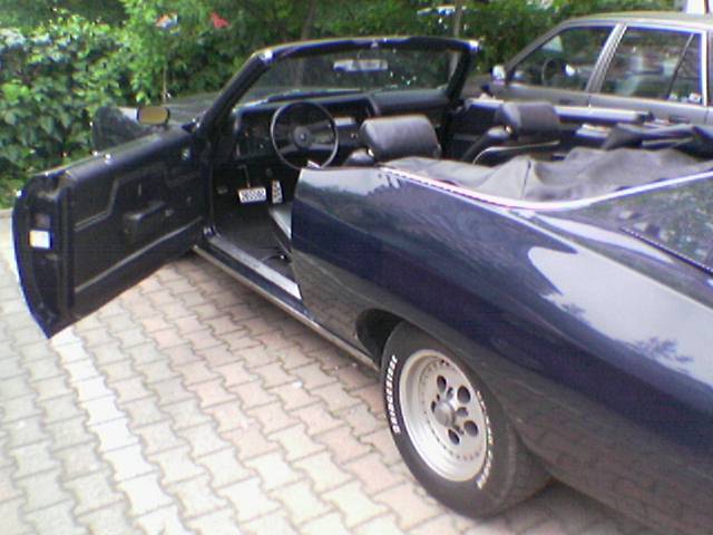 Image(375).jpg