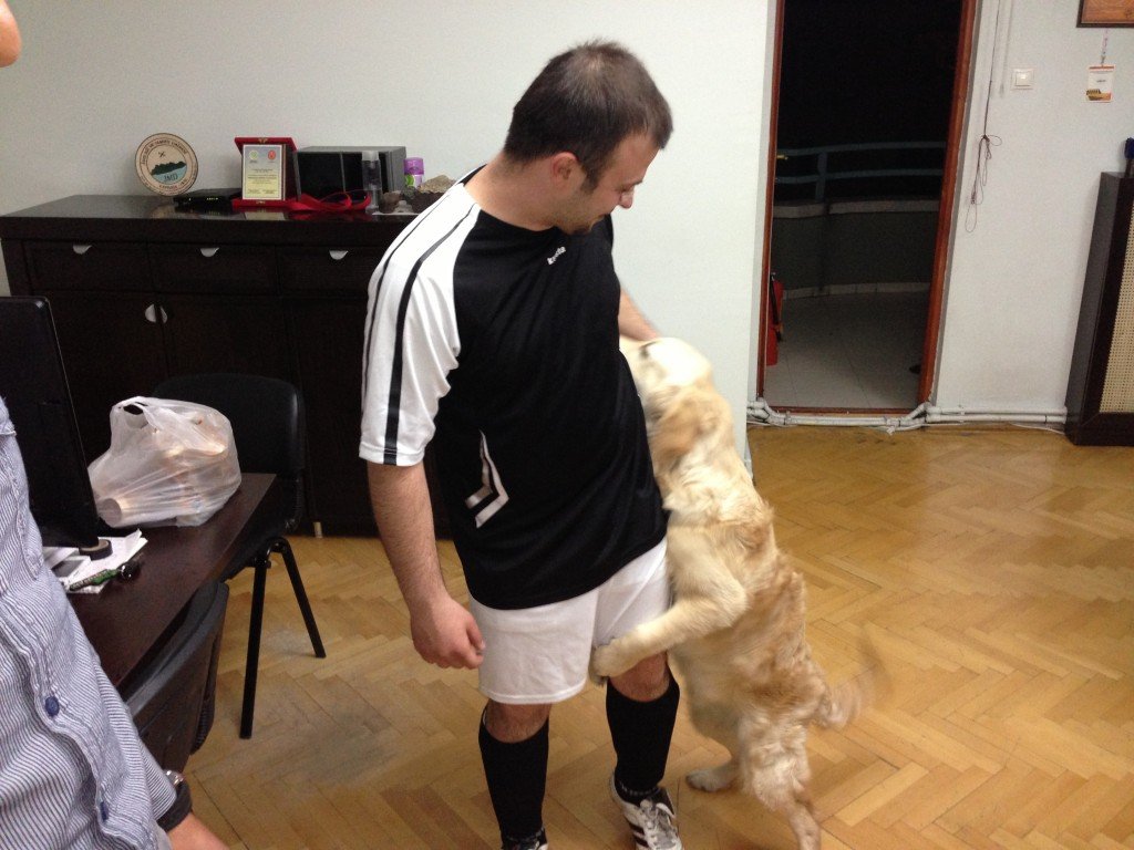 image.jpg