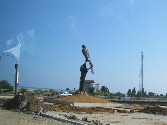 Image00001.jpg