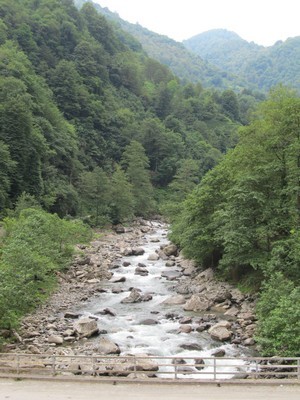 Image00008.jpg