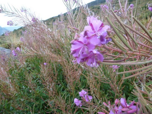 Image00068.jpg
