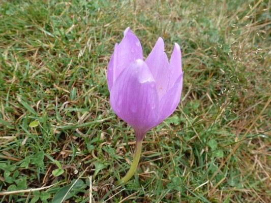 Image00091.jpg