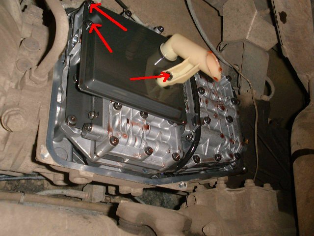 image009.jpg
