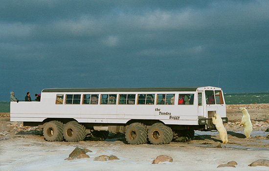 image3.jpg