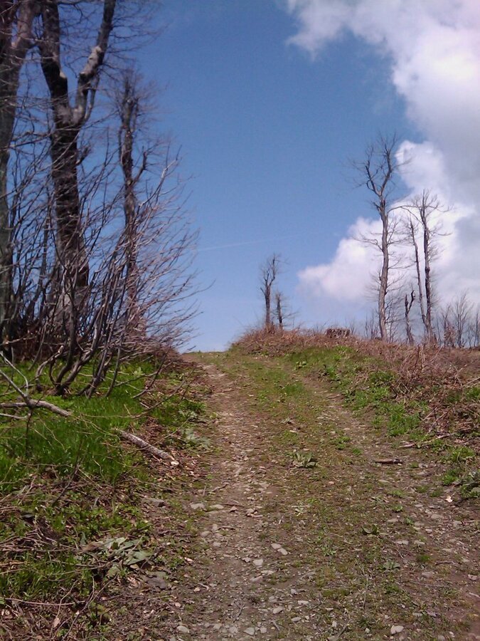 IMAGE_146.jpg