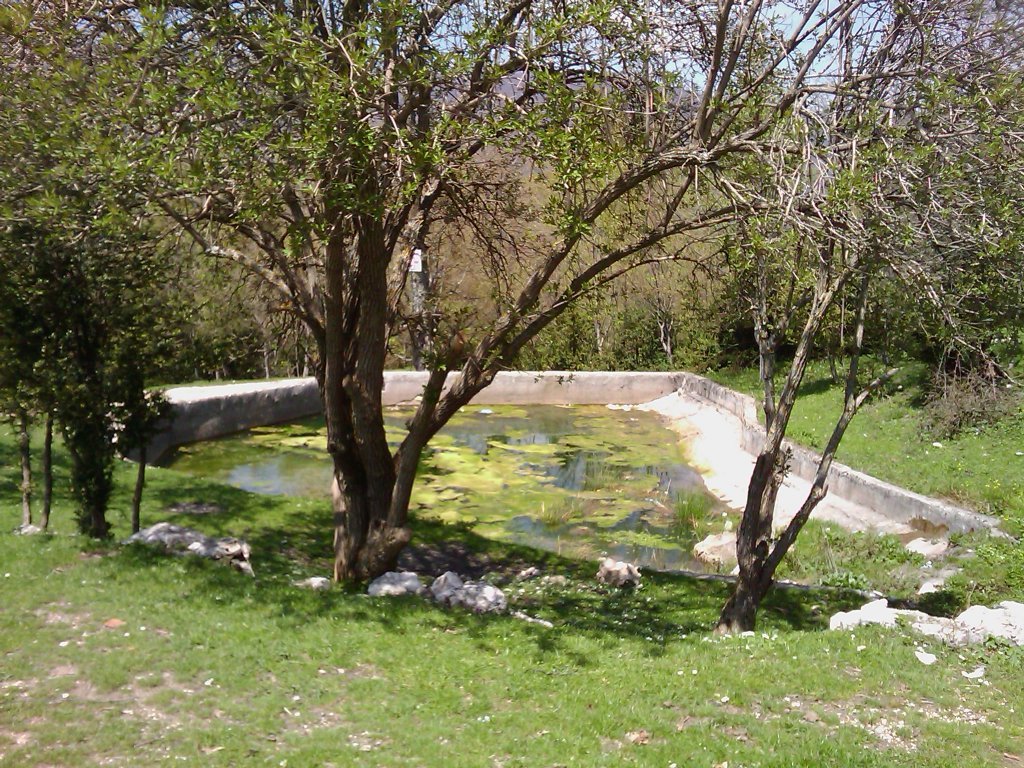 IMAGE_167.jpg