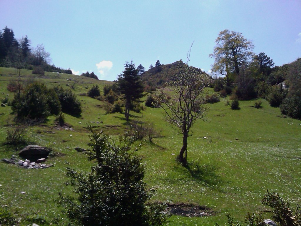 IMAGE_168.jpg