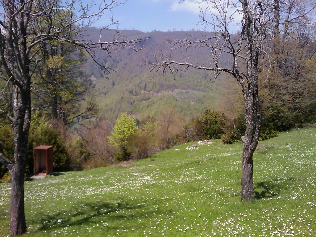IMAGE_169.jpg